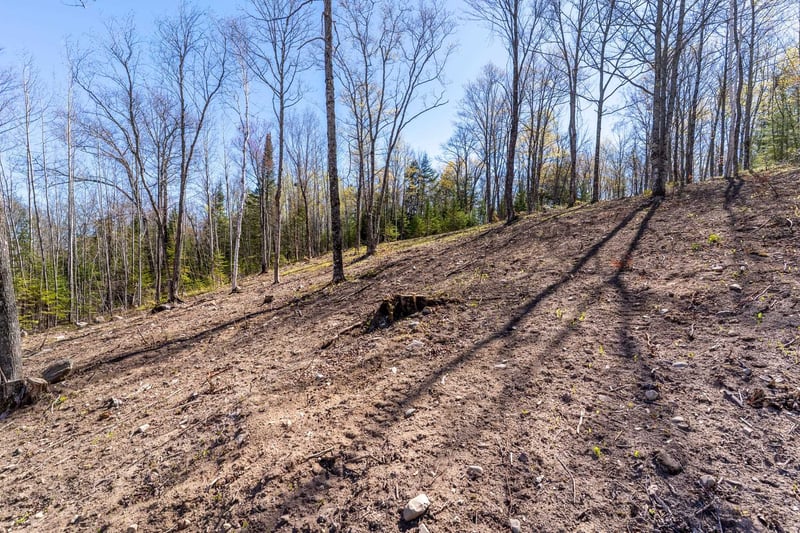Northview Dr, Crandon, WI 54520