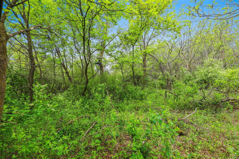 Greendale Rd #1, Hortonville, WI 54944