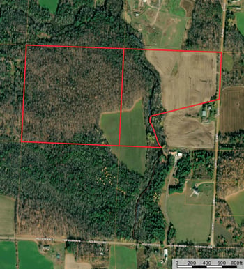 Elm Rd, Birnamwood, WI 54414