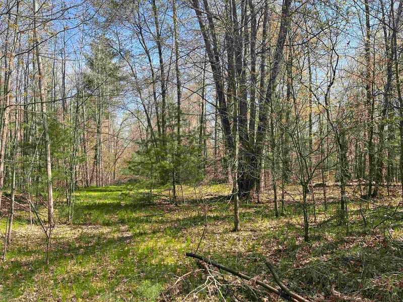 Hwy 141 , Abrams, WI 54101