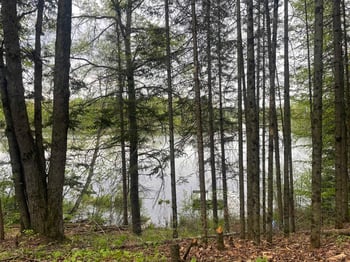 18912 Rocky Ln, Townsend, WI 54175