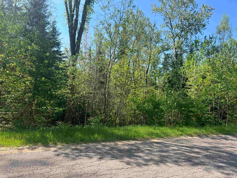 Forest Hill Dr, Townsend, WI 54175