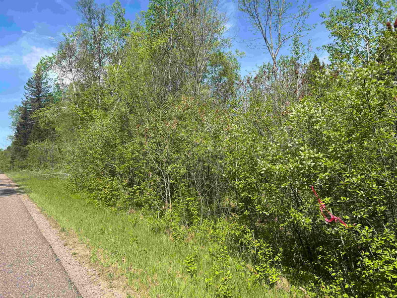 Forest Hill Dr, Townsend, WI 54175