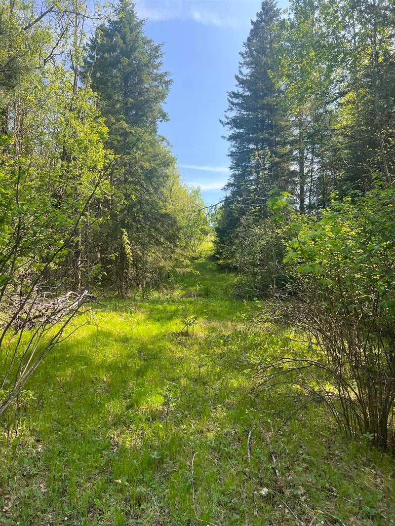 Forest Hill Dr, Townsend, WI 54175