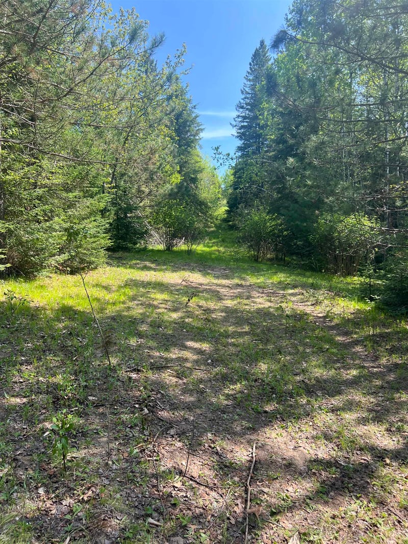 Forest Hill Dr, Townsend, WI 54175