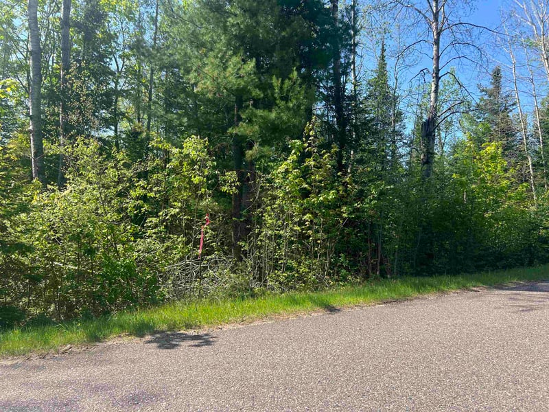 Forest Hill Dr, Townsend, WI 54175