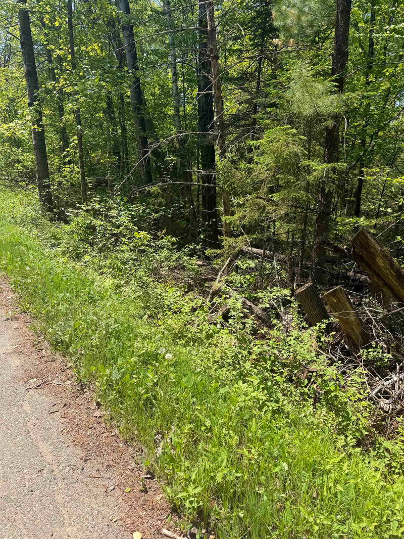 Lower Dam Rd #4 & 5, Mountain, WI 54149