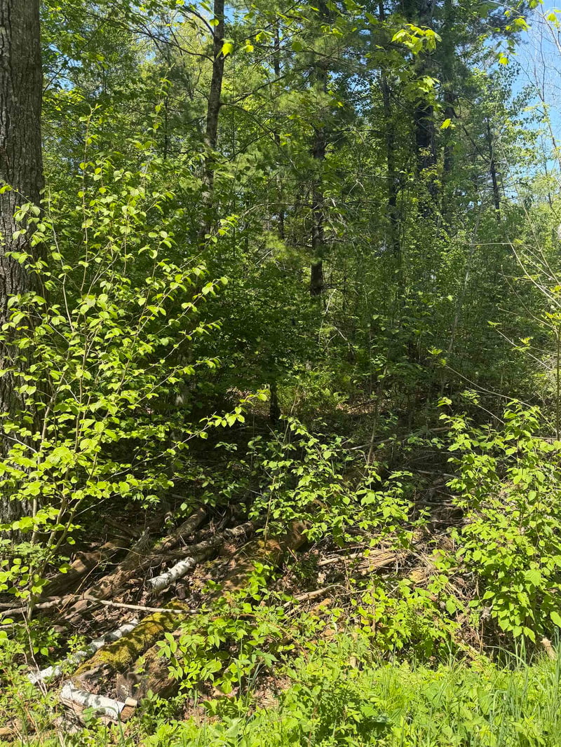 Lower Dam Rd #4 & 5, Mountain, WI 54149