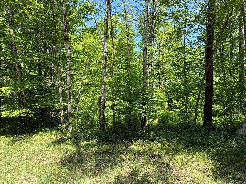 Wilderness Trl #1, Green Bay, WI 54313