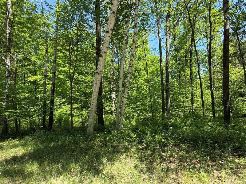 Wilderness Trl #1, Green Bay, WI 54313