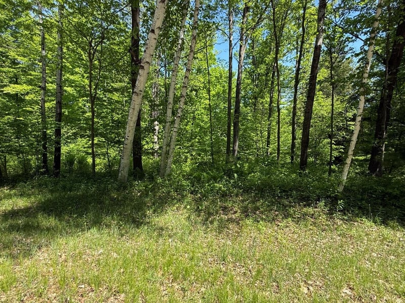 Wilderness Trl #1, Green Bay, WI 54313
