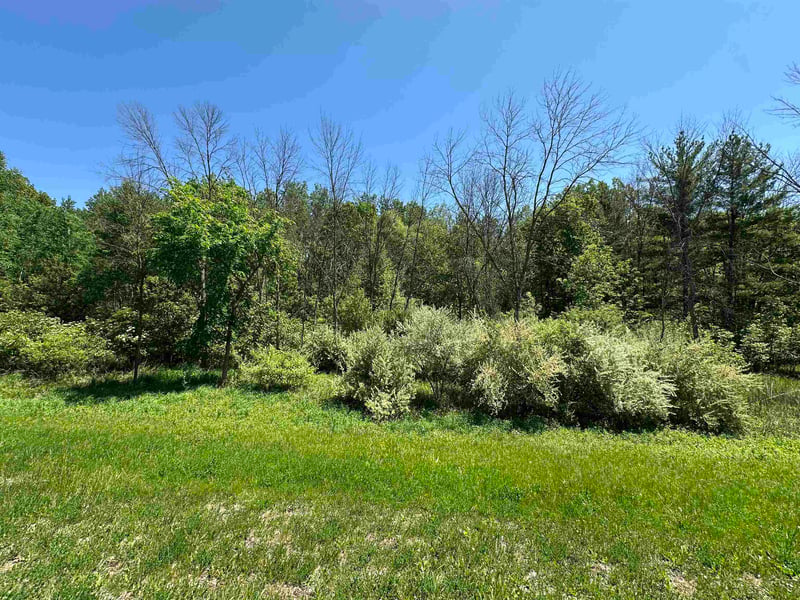 Hillcrest Dr #2, Oneida, WI 54155
