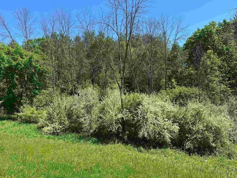 Hillcrest Dr #2, Oneida, WI 54155
