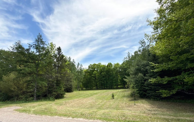 Hill Rd, Birnamwood, WI 54414