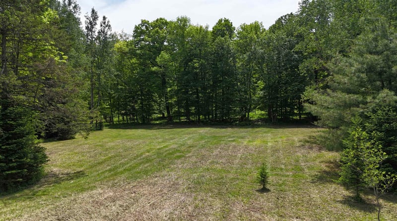 Hill Rd, Birnamwood, WI 54414
