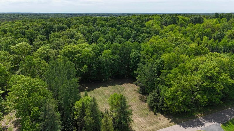 Hill Rd, Birnamwood, WI 54414