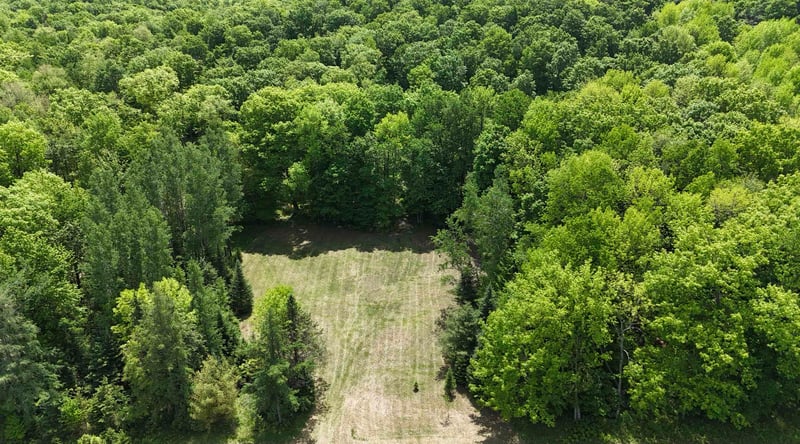 Hill Rd, Birnamwood, WI 54414