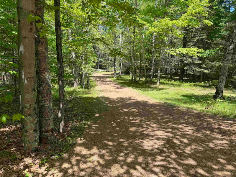 14751 Hatchery Ln, Lakewood, WI 54138