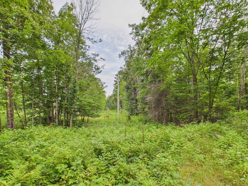 Hwy 139 , Argonne, WI 54511