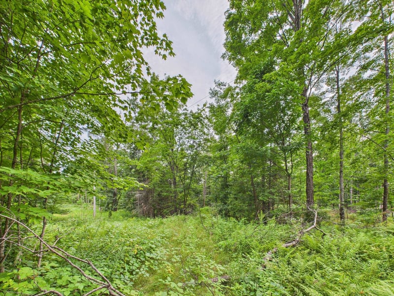 Hwy 139 , Argonne, WI 54511