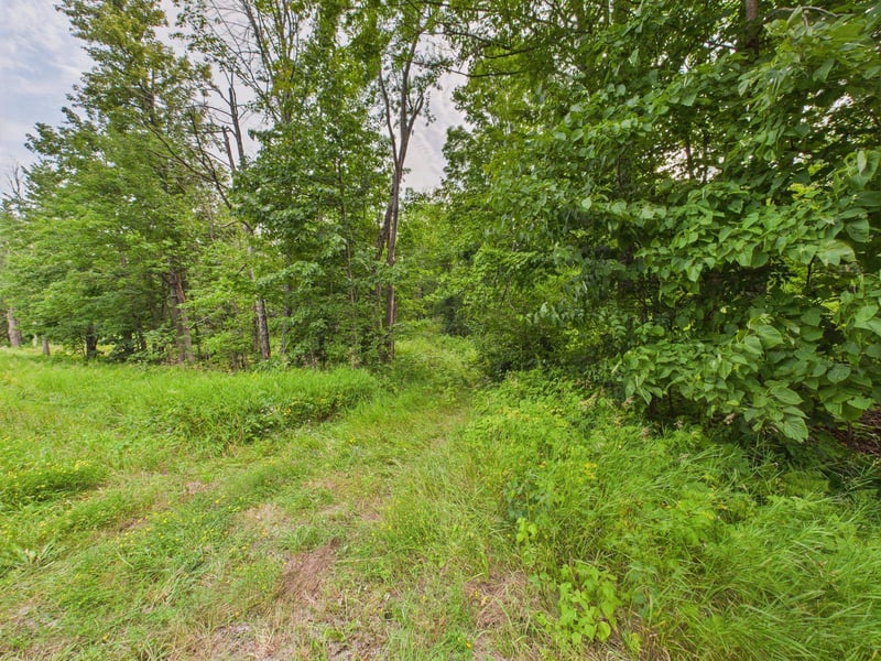 Hwy 139 , Argonne, WI 54511