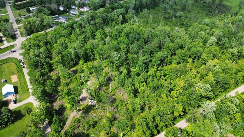N5610 Resort Rd, Bonduel, WI 54107-0000