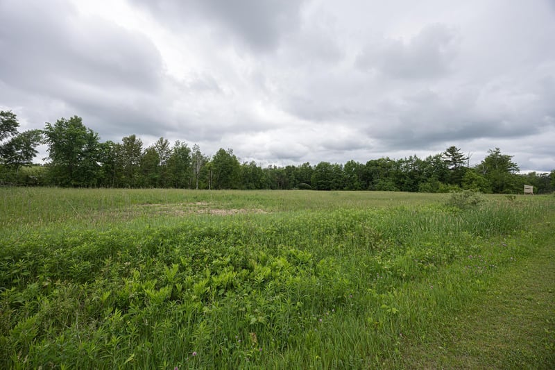 Lot 2 Lydie Ln, Pound, WI 54161