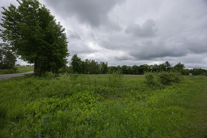 Lydie Ln, Pound, WI 54161