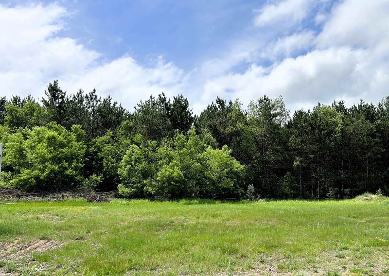 Main St, Gresham, WI 54128-9518