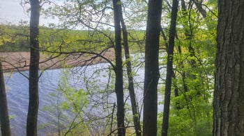 6615 Birchwood Shores Ln, Oconto Falls, WI 54154