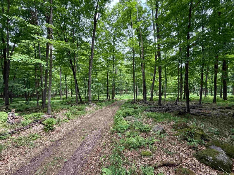 N7794 Kolpack Ln, Bowler, WI 54416