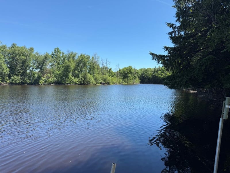 W11278 Riverside Rd, Marion, WI 54950-9018