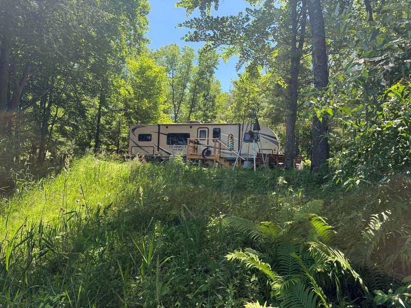 W11278 Riverside Rd, Marion, WI 54950-9018