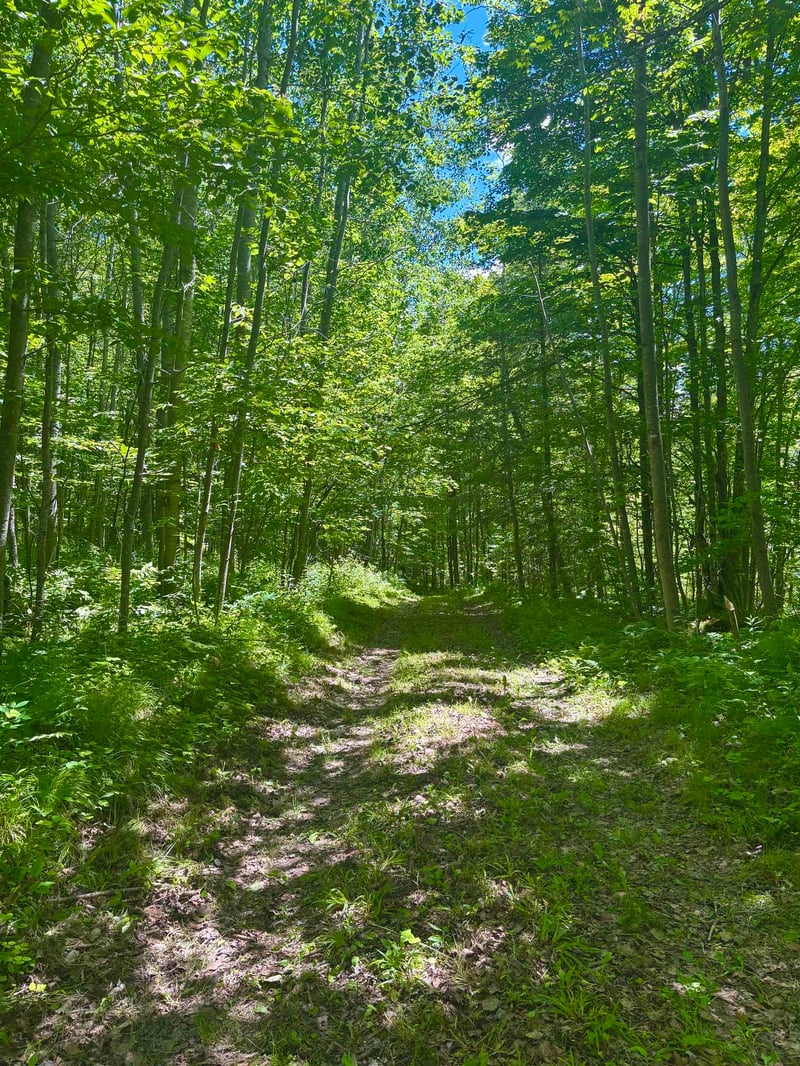 16791 Little Pickerel Ln, Townsend, WI 54175