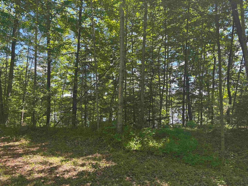 16791 Little Pickerel Ln, Townsend, WI 54175