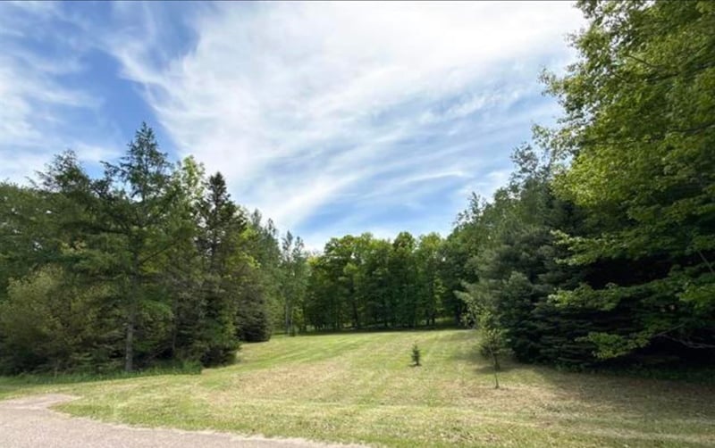 Hill Rd, Birnamwood, WI 54414-0000