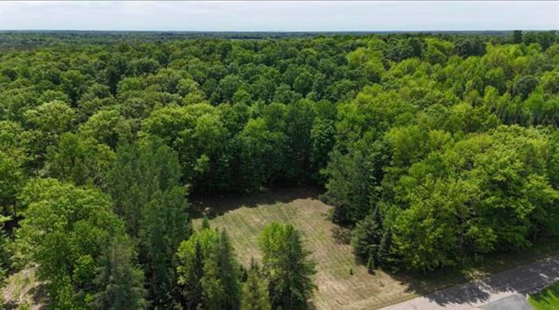 Hill Rd, Birnamwood, WI 54414-0000