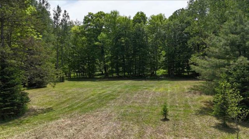 Hill Rd, Birnamwood, WI 54414-0000