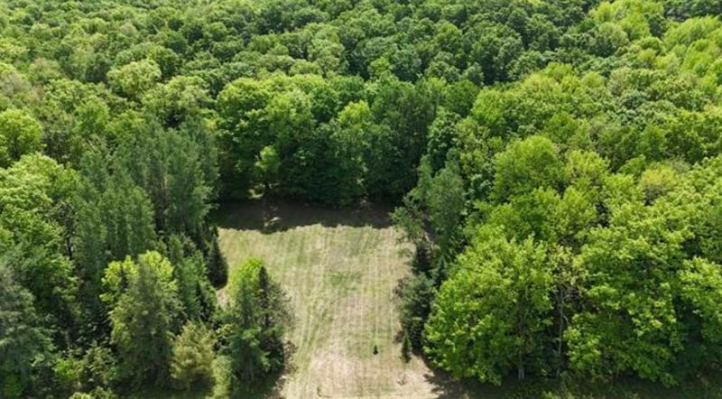 Hill Rd, Birnamwood, WI 54414-0000
