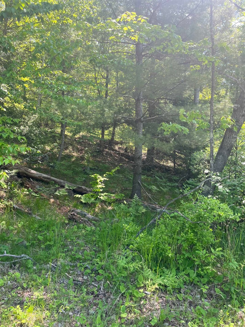 Lake John Rd, Lakewood, WI 54138