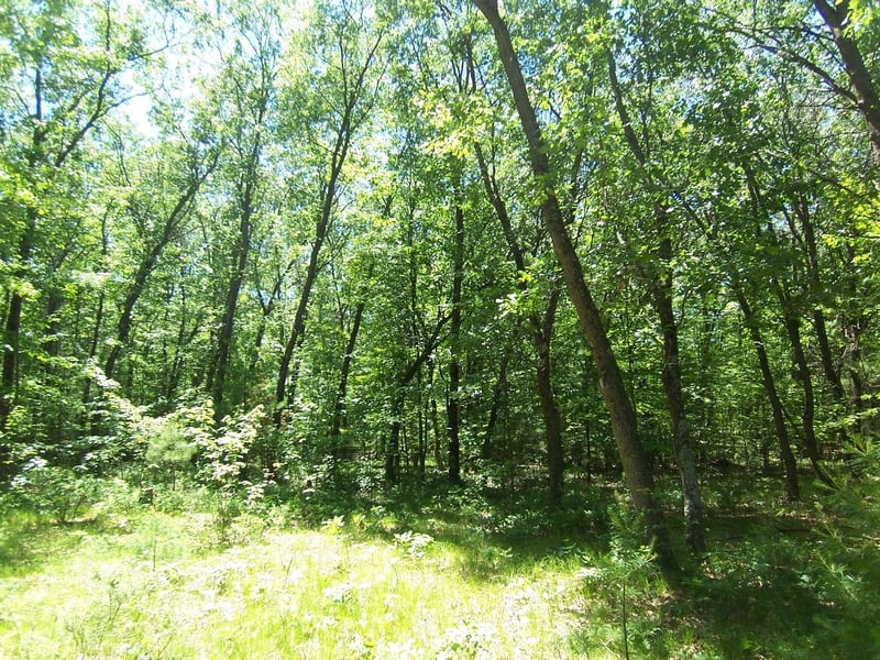 Ann Ct #79, Shawano, WI 54166-1822