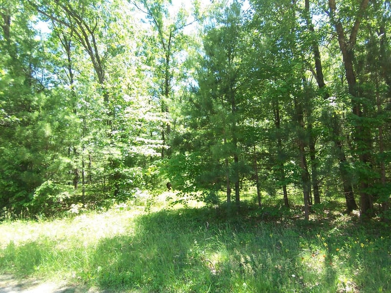 Ann Ct #79, Shawano, WI 54166-1822