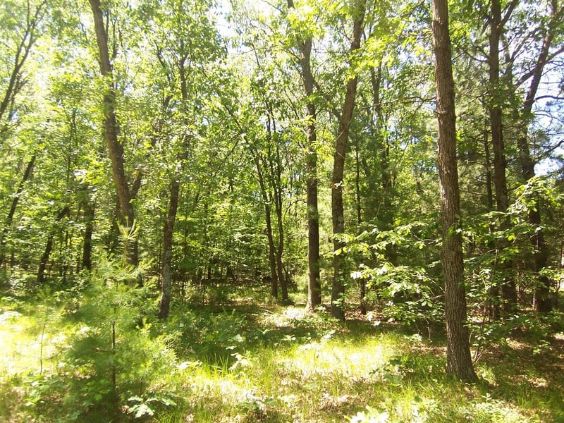 Ann Ct #79, Shawano, WI 54166-1822