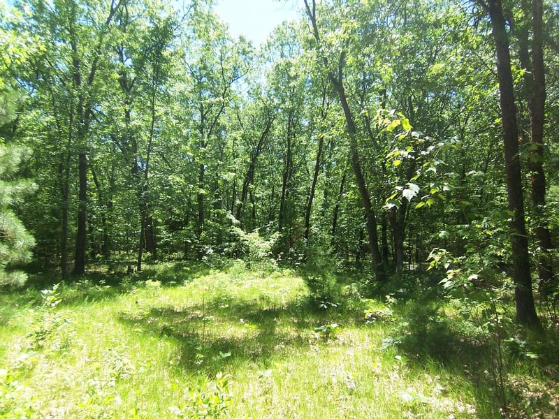 Ann Ct #79, Shawano, WI 54166-1822