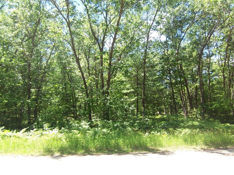 Ann Ct #79, Shawano, WI 54166-1822
