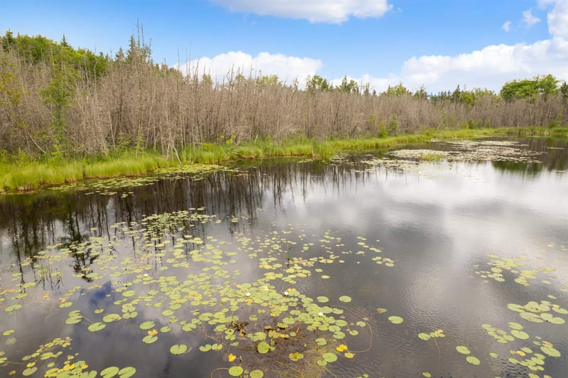 County Z Rd, Pound, WI 54161
