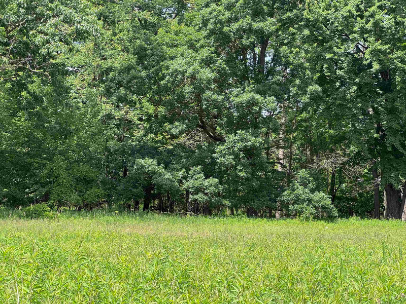 301 Channel Tc, Shawano, WI 54166