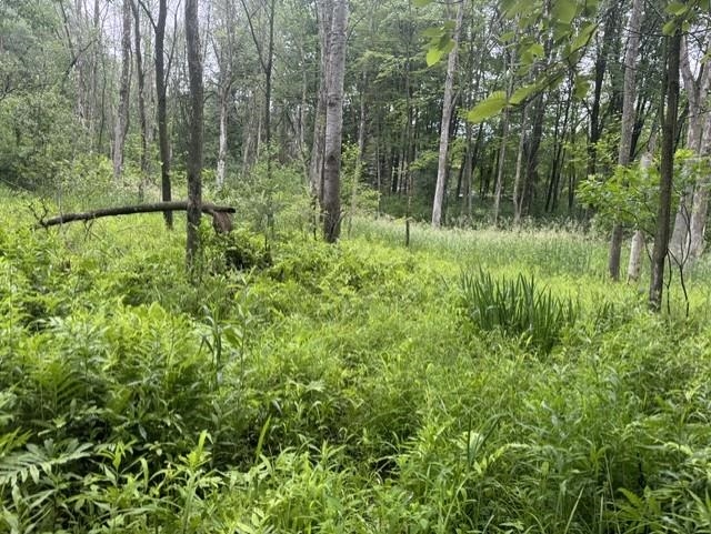 Elmwood Rd, Green Bay, WI 54313