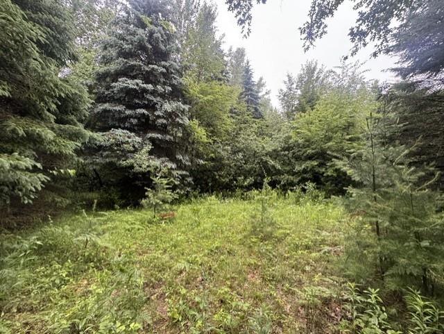 Elmwood Rd, Green Bay, WI 54313