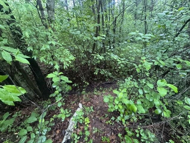 Elmwood Rd, Green Bay, WI 54313